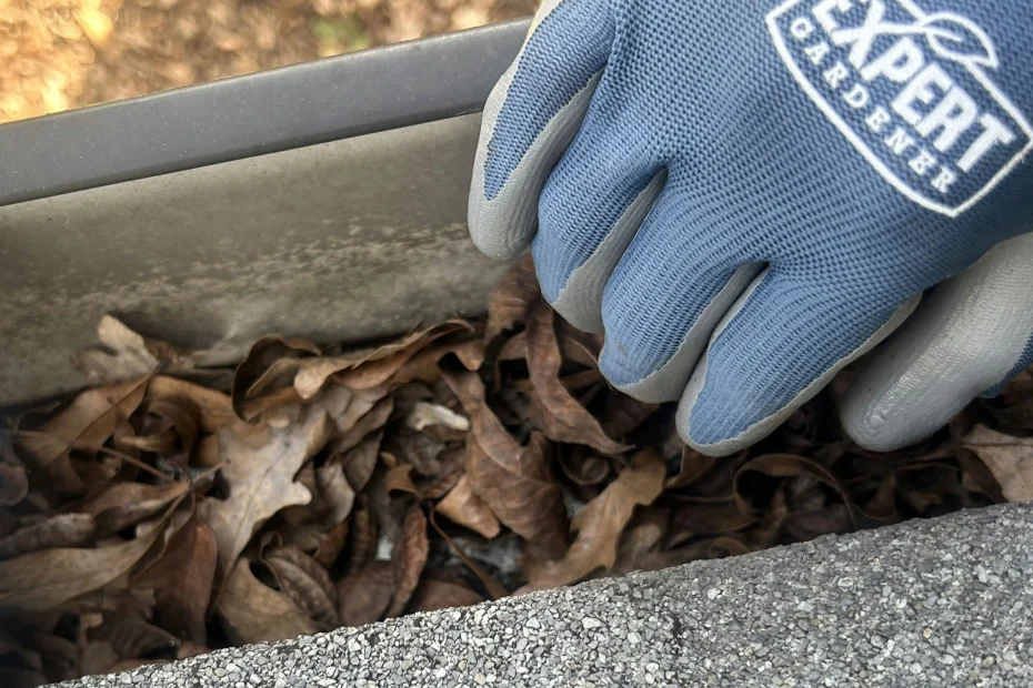 Gutter Cleaning Henrico