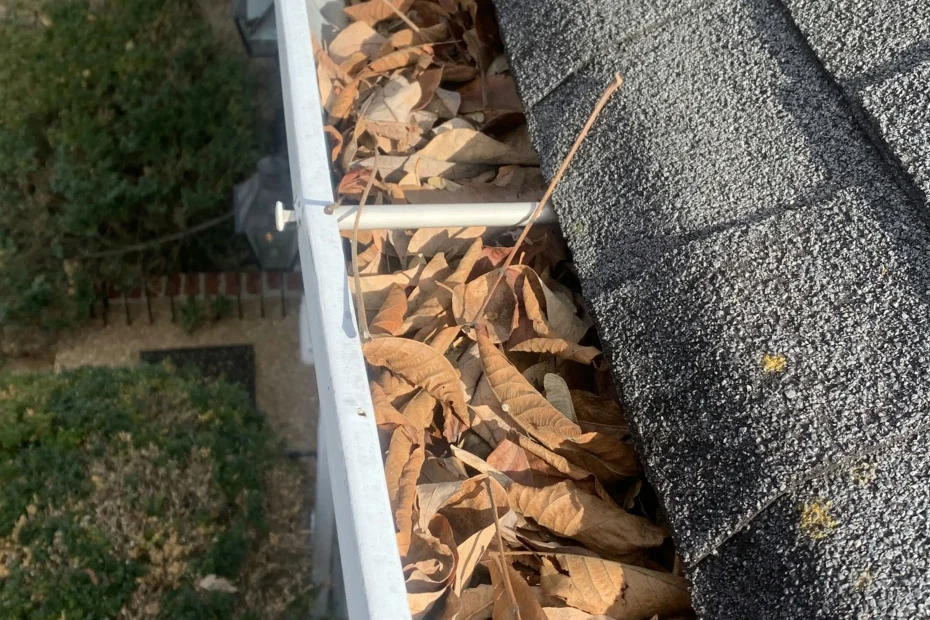 Gutter Cleaning Henrico