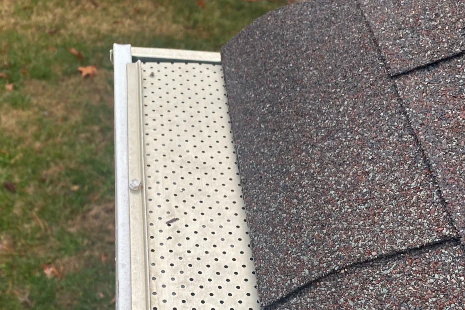 Gutter Cleaning Henrico